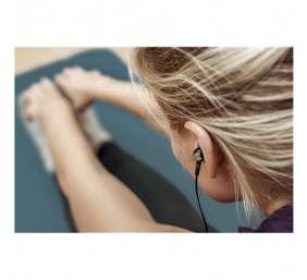 ACME HE19 Earphones